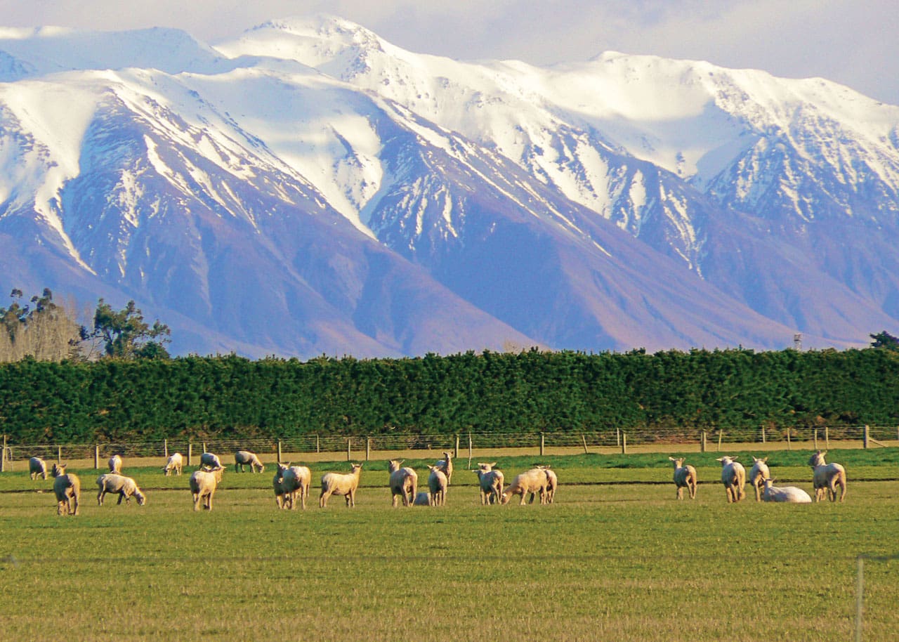 Collette’s bucket list worthy trips Travel CourierTravel Courier