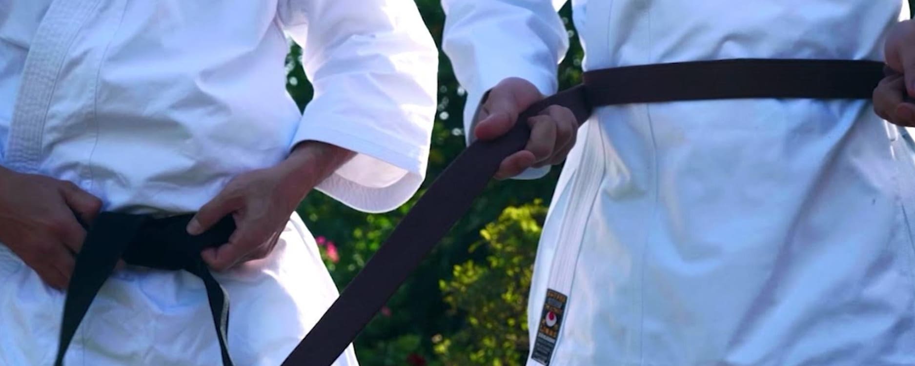 Take the popular Netflix series Cobra Kai to the next level in Japan